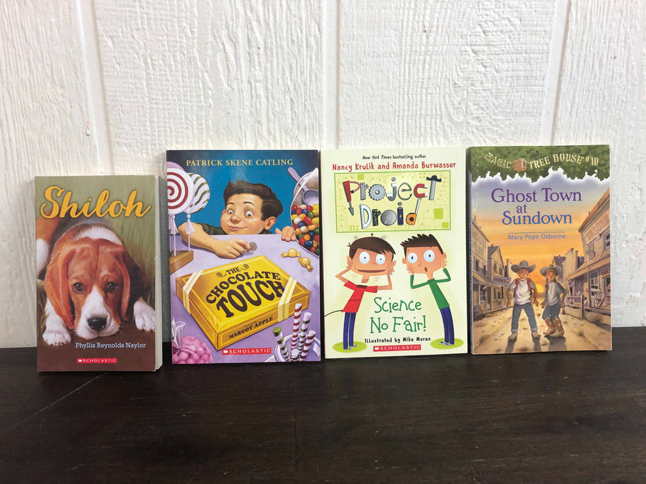 used BUNDLE Children’s Chapter Books