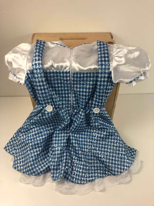 secondhand Rubie’s Pretend Play Dorothy Costume