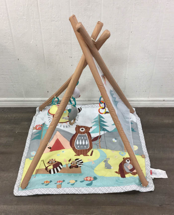 used Skip Hop Camping Cubs Activity Gym