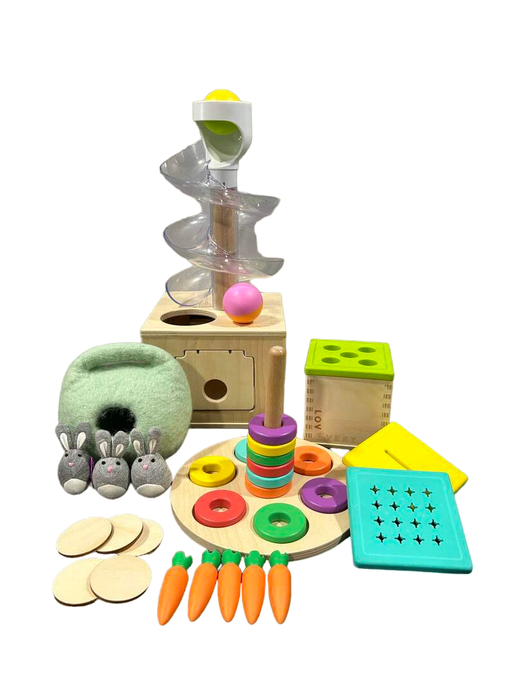 used Lovevery The Babbler Play Kit