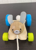 secondhand Plan Toys Wooden Hopping Rabbit Push & Pull Toy