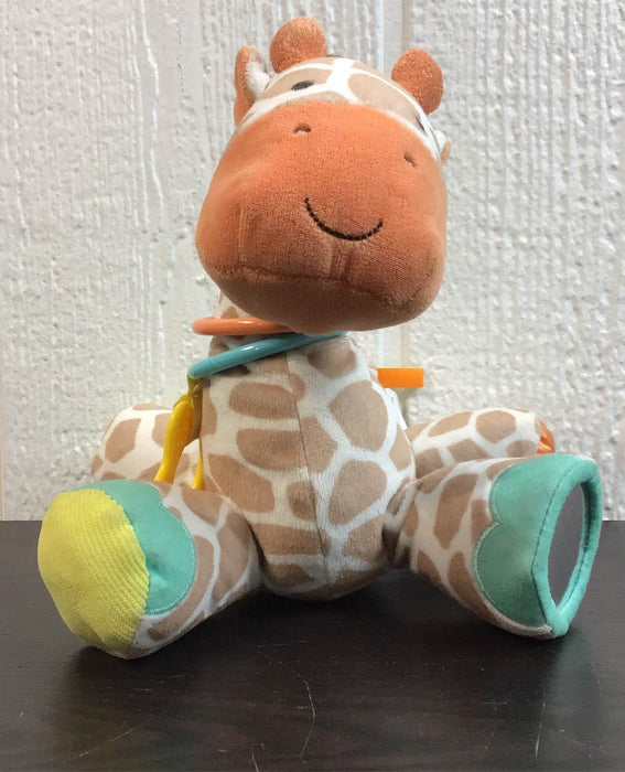 used Carter’s Developmental Giraffe