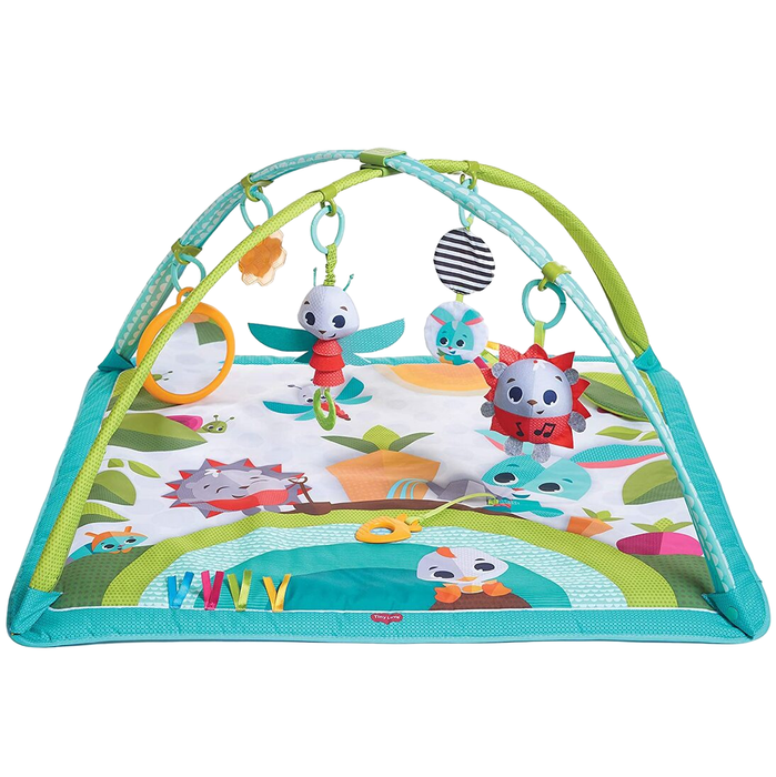 Tiny Love Gymini Move And Play Activity Gym