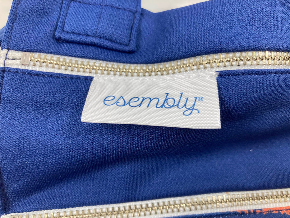 used Esembly Day Bag