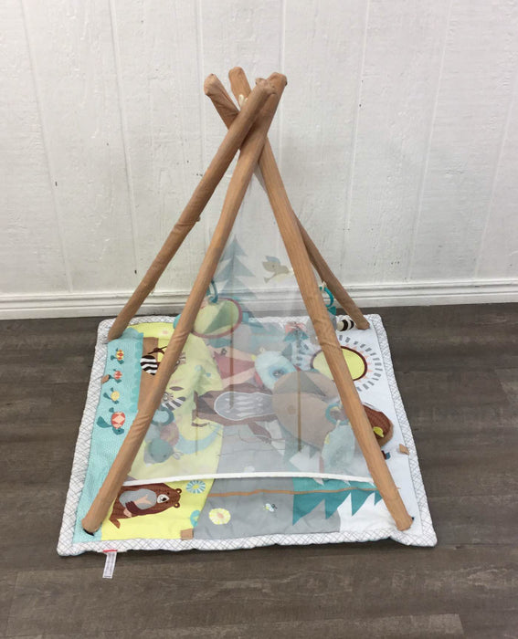 secondhand Skip Hop Camping Cubs Activity Gym