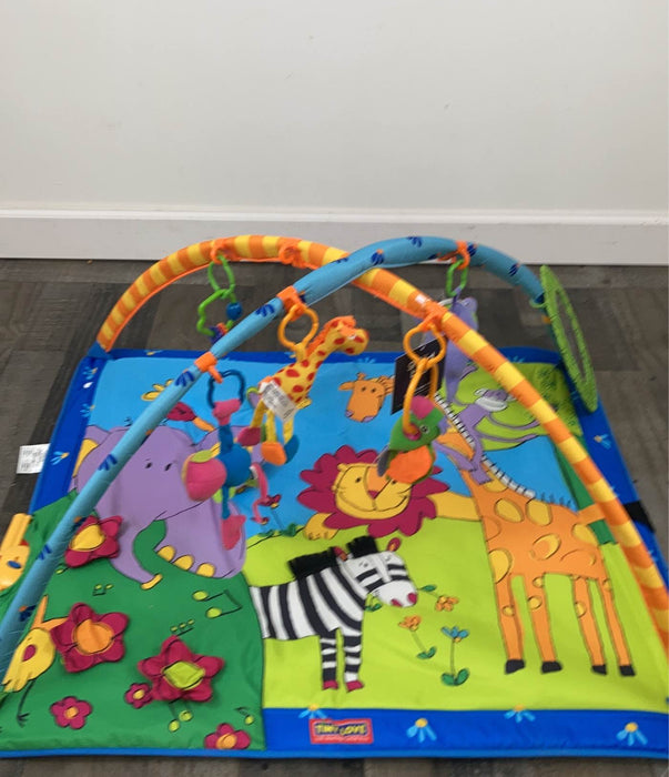 used Tiny Love Gymini Lights And Music Activity Gym