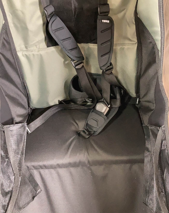 Thule Chariot Lite Bike Trailer Stroller 1 Seat, Agave, 2021