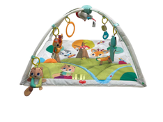 used Tiny Love Gymini Deluxe Activity Gym, Into the Forest