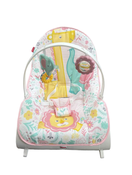 used Fisher Price Infant To Toddler Rocker