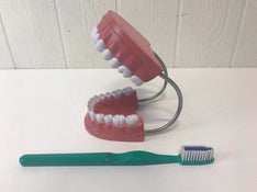 secondhand Lakeshore Learn To Brush Demonstration Kit