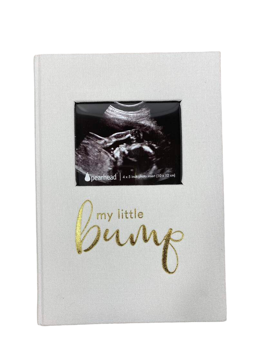 used Pearhead My Pregnancy Journal