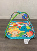 used Bright Starts Activity Gym, Zippy Zoo