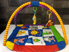 secondhand Baby Einstein Play Gym