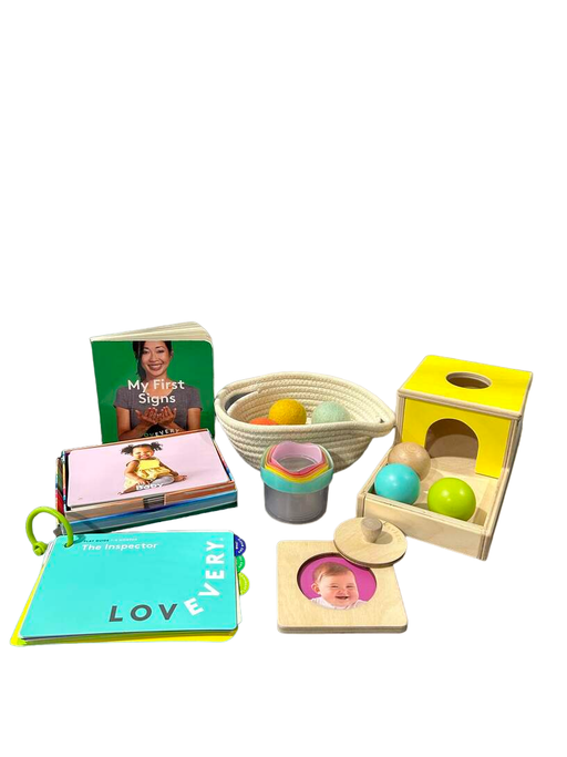 used Lovevery The Inspector Play Kit