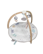 used Aden + Anais Play + Discover Baby Activity Gym, Ma Fluer