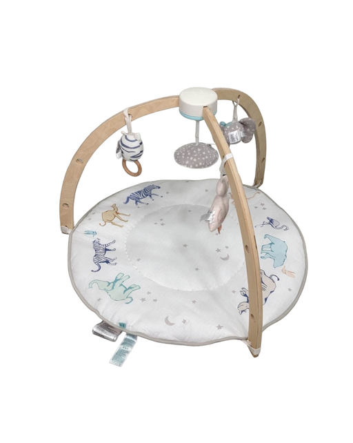 used Aden + Anais Play + Discover Baby Activity Gym, Ma Fluer