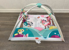 used Tiny Love Gymini Deluxe Activity Gym, Tiny Princess Tales