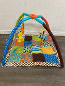 used Skip Hop Activity Gym/ Playmat