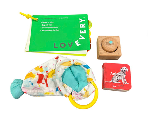 secondhand Lovevery The Thinker Play Kit