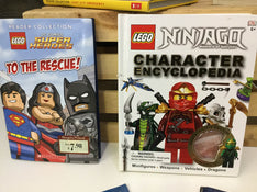 secondhand BUNDLE LEGO Books