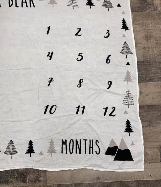 secondhand Pondering Pines Milestone Blanket