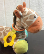 Carter’s Developmental Giraffe