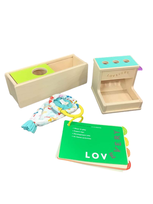 used Lovevery The Thinker Play Kit