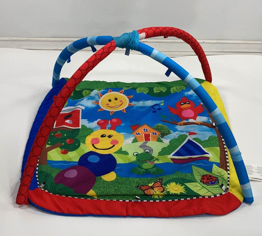 used Baby Einstein Activity Gym, Caterpillar And Friends