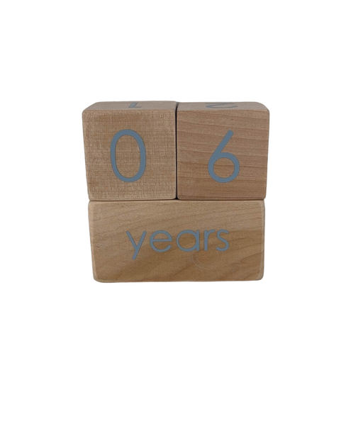 secondhand Modern Blocks Milestone Block Set