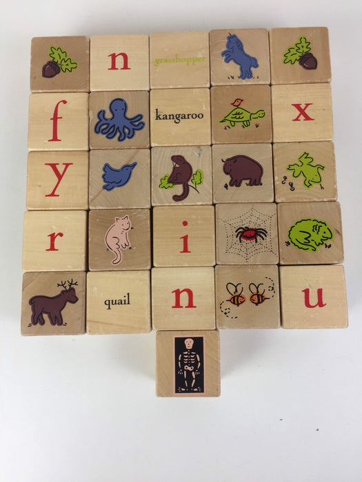 secondhand Pottery Barn Kids Alphabet Blocks