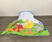 secondhand Bed Canopy, Sesame Street