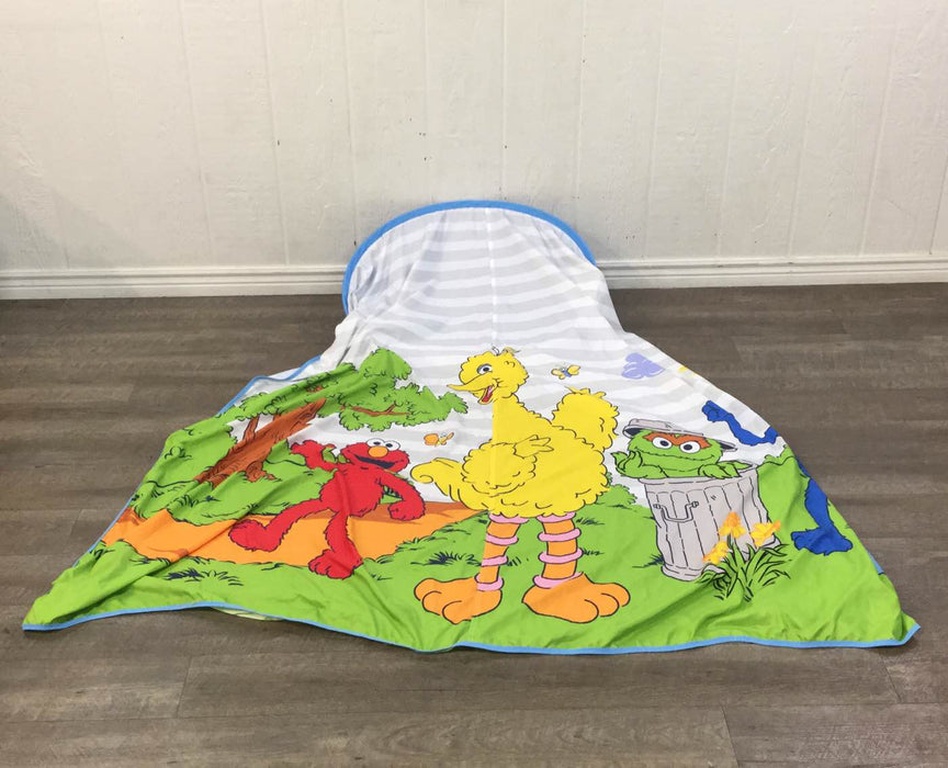 secondhand Bed Canopy, Sesame Street