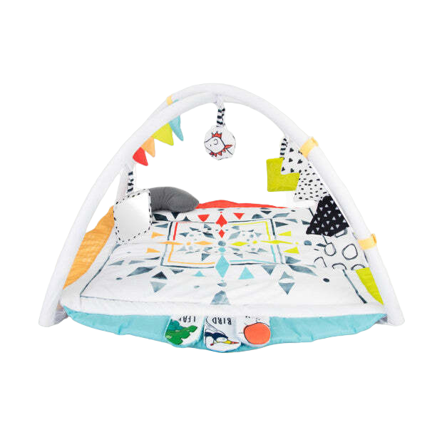 Sassy Hello Baby Milestone Play Gym