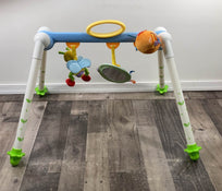 secondhand Taf Toys Take-To-Play Gym