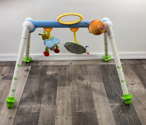 secondhand Taf Toys Take-To-Play Gym