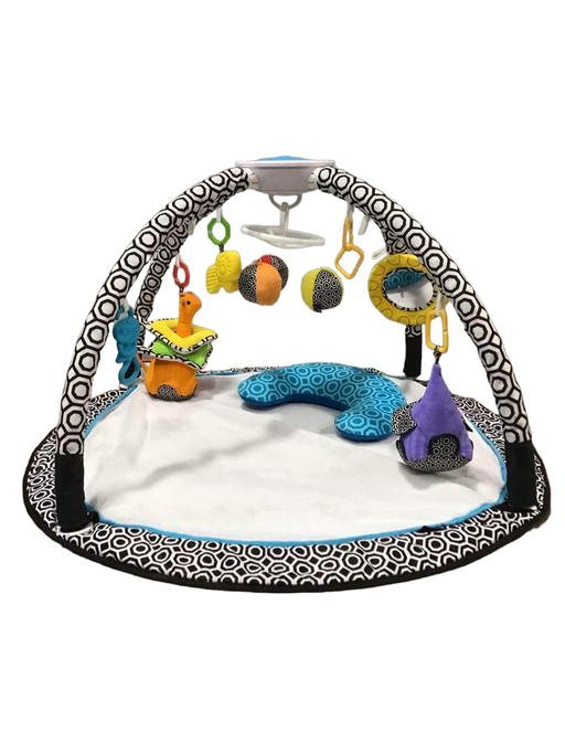 secondhand Fisher Price Jonathan Adler Sensory Gym