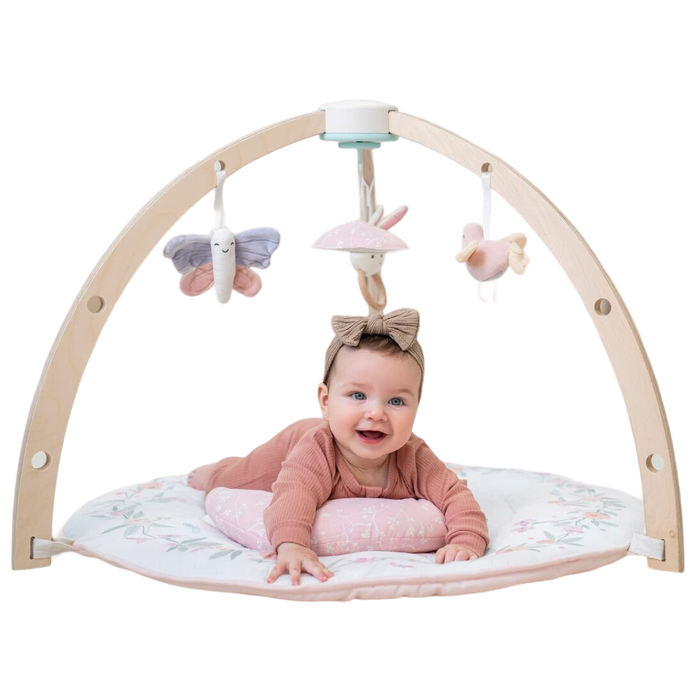 Aden + Anais Play + Discover Baby Activity Gym, Ma Fluer