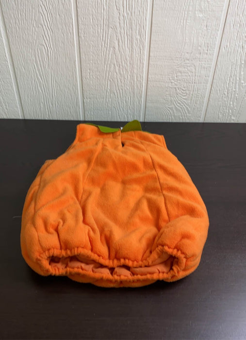 secondhand Pottery Barn Kids Pumpkin Costume