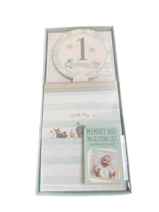 used Stepping Stones Memory And Milestone Set