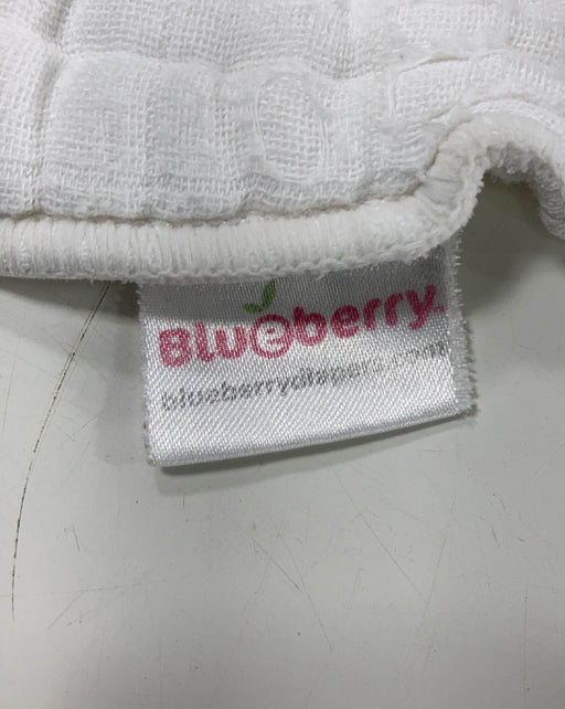 secondhand Blueberry Organic Cotton Insert Bundle