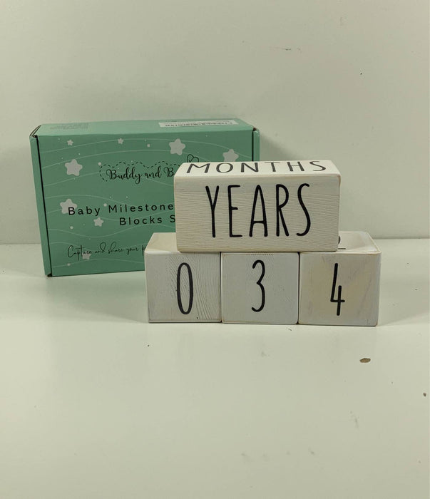 used Buddy And Bee Milestone Blocks