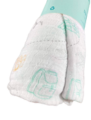 secondhand Aden + Anais Swaddle Blanket