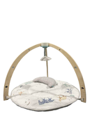 used Aden + Anais Play + Discover Baby Activity Gym, Rising Star