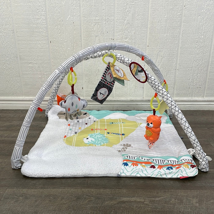 Fisher Price Perfect Sense Deluxe Gym