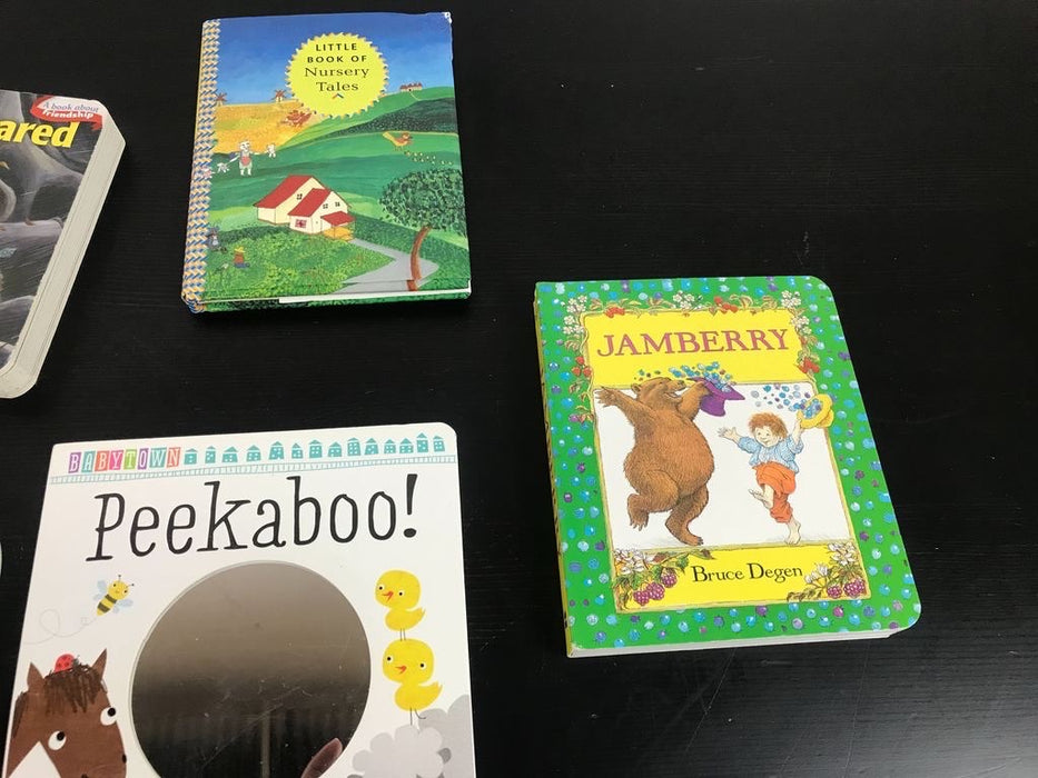 BUNDLE Books